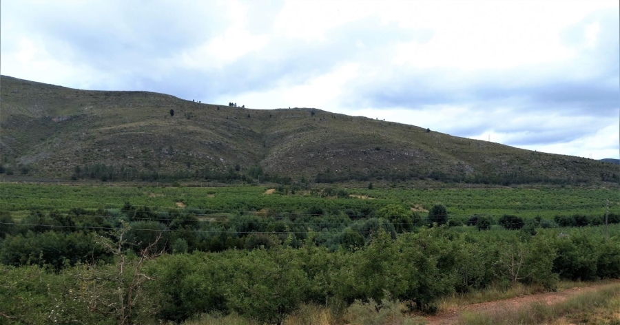 0 Bedroom Property for Sale in Uniondale Rural Western Cape